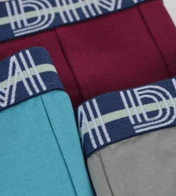 Lot de 3 boxers garçon coton stretch ceinture contrastée Carmin EcoDim