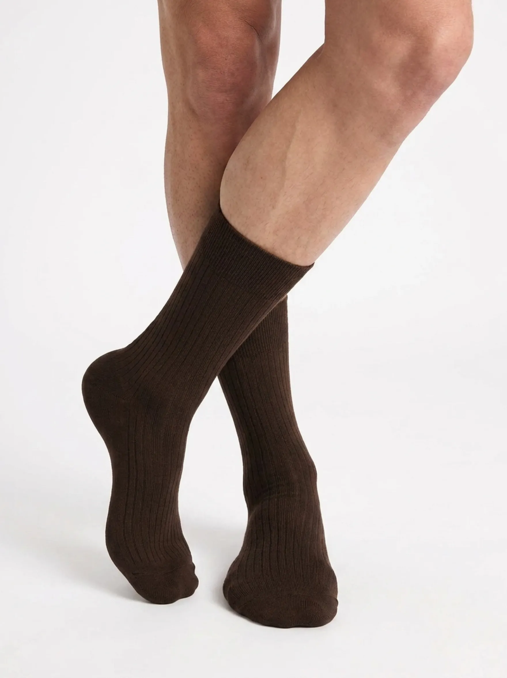 Lot de 3 chaussettes homme Chocolat, cassis, taupe Coton