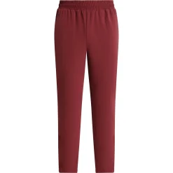 Pantalon de sport chino pour homme en jersey stretch Bordeaux Dim Move